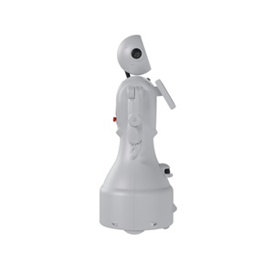 Mini Ada Sosyal Robot